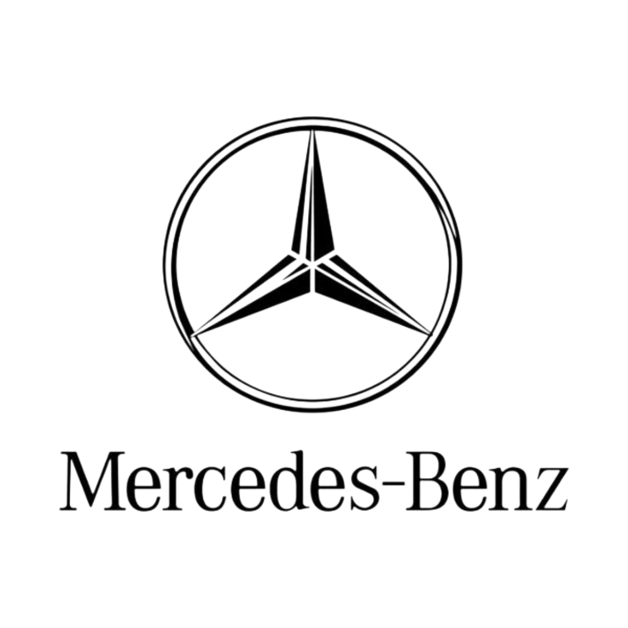 Mercedes F1 Team