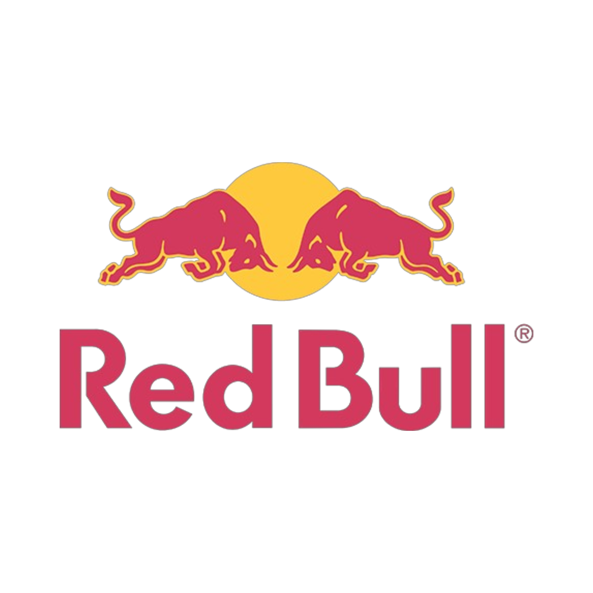 Red Bull Racing F1 Team
