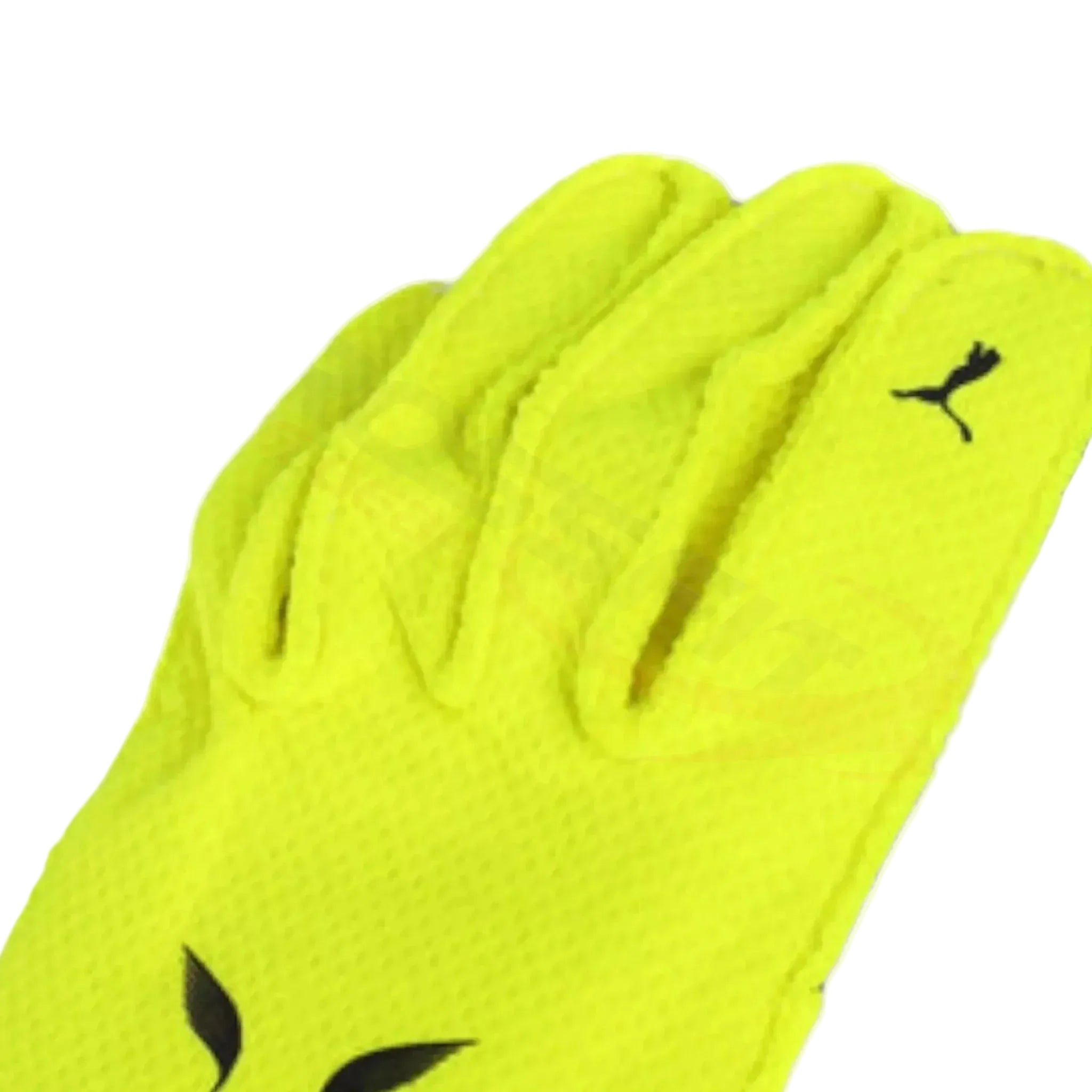 2023 Lewis Hamilton Mercedes F1 Race Gloves